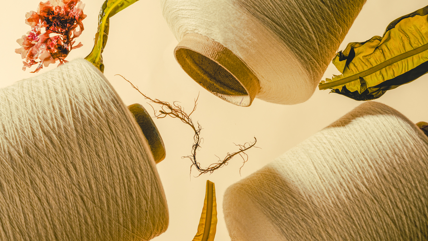 keel labs kelp yarn